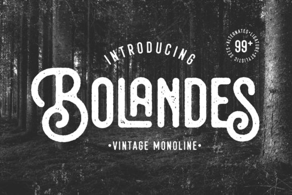 Bolandes: A Vintage Display Font for Editorial Impact