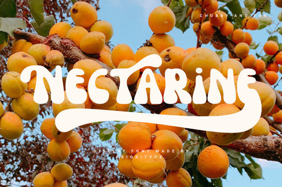 Nectarine: A Display Font with Quiet Confidence